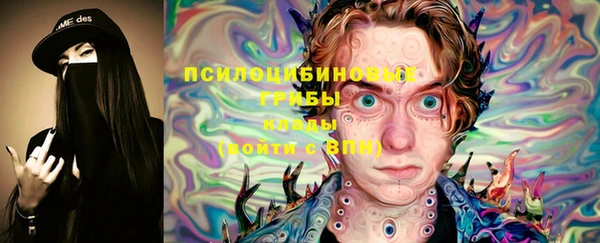 твердый Алексин